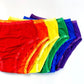 Solids Undie Bundle Rainbow Pack of 6