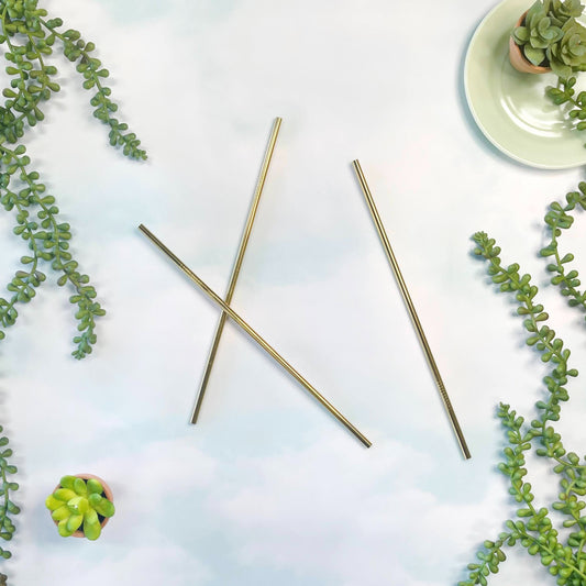 Metal Reusable Straw