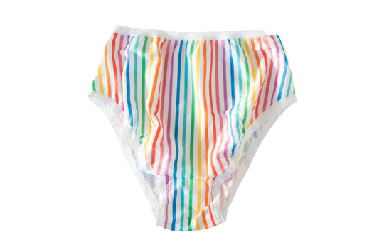 Rainbow Stripe High Rise Undies